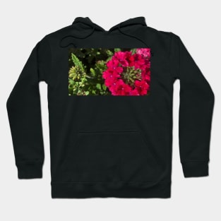 The Delicate Balance of Summer Flowers Hoodie